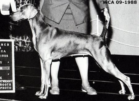 Image of Von Mystic's Aroused Intrigue
