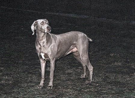 Image of Bryza z Sudowii