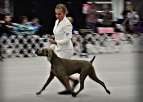 Image of Cheyenne's What Goes Around Comes Around