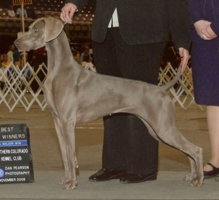 Image of Cheyenne N Foxfire Common Ground