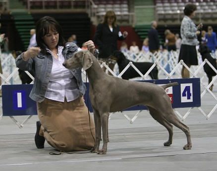 Image of Cheyenne's Spontaneous Combustion