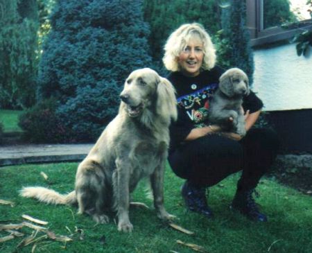 Image of Winndue Blue Moon of Hasswyn