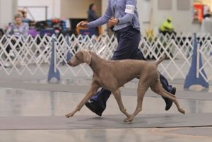 Image of Graymatter's Sunrise At Peachtree