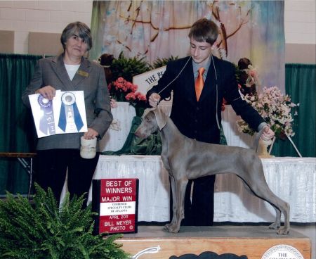 Image of Graymatter's High Speed Memory