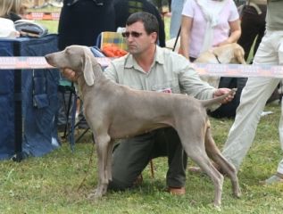 Image of Elba Dobry Teren