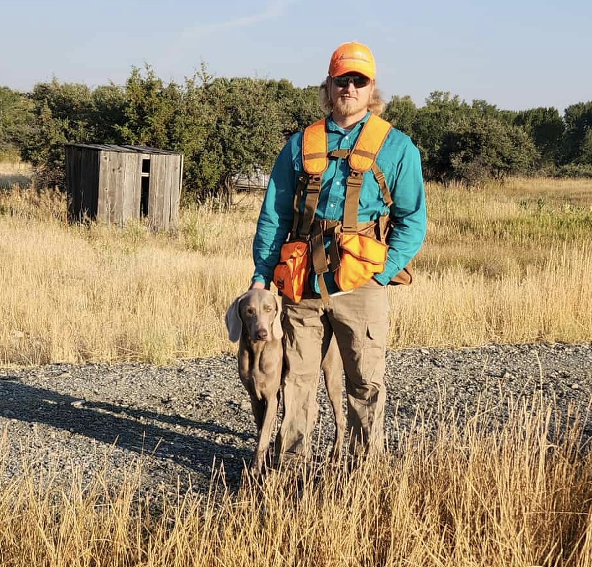 Image of PM's Tribute To The Boss