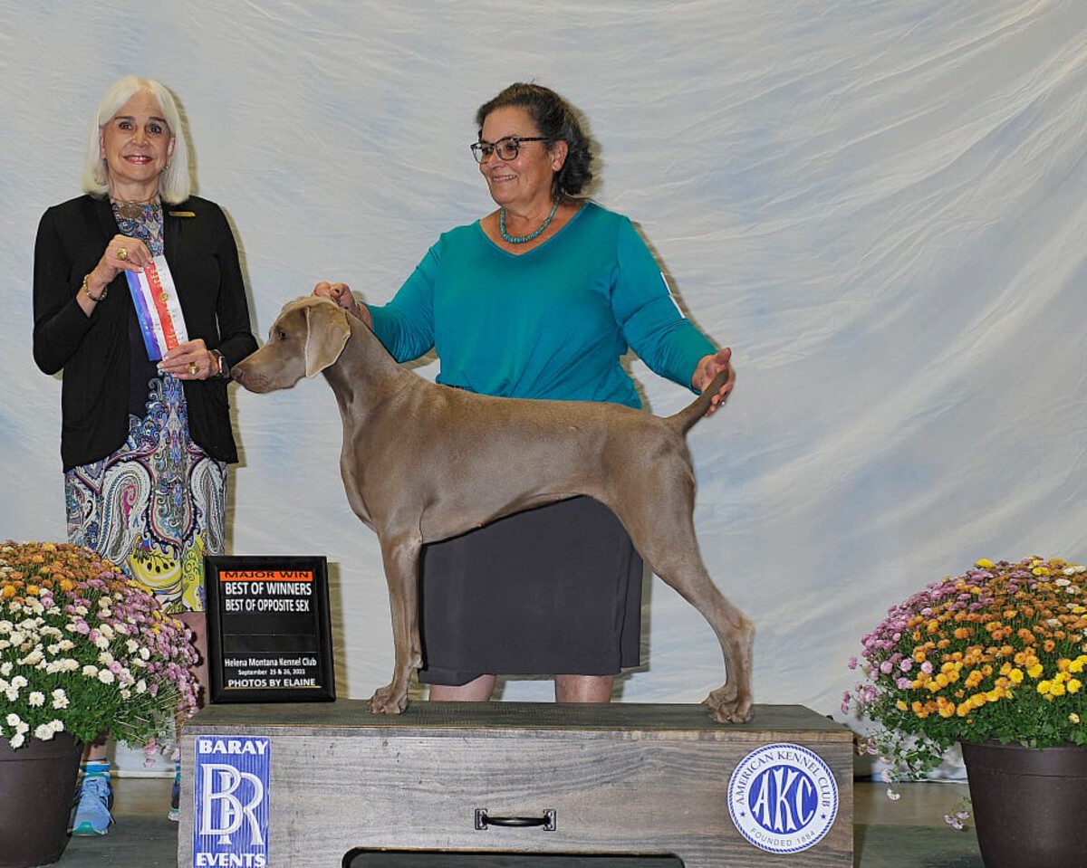 Image of Lazy Heart's PM Hurricane Warning