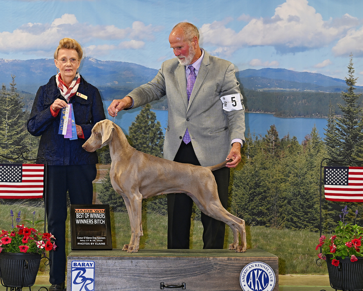 Image of PM's Lavender Haze