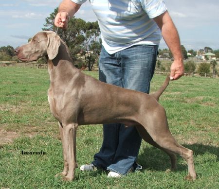 Image of Wager's Casino Winning Streak