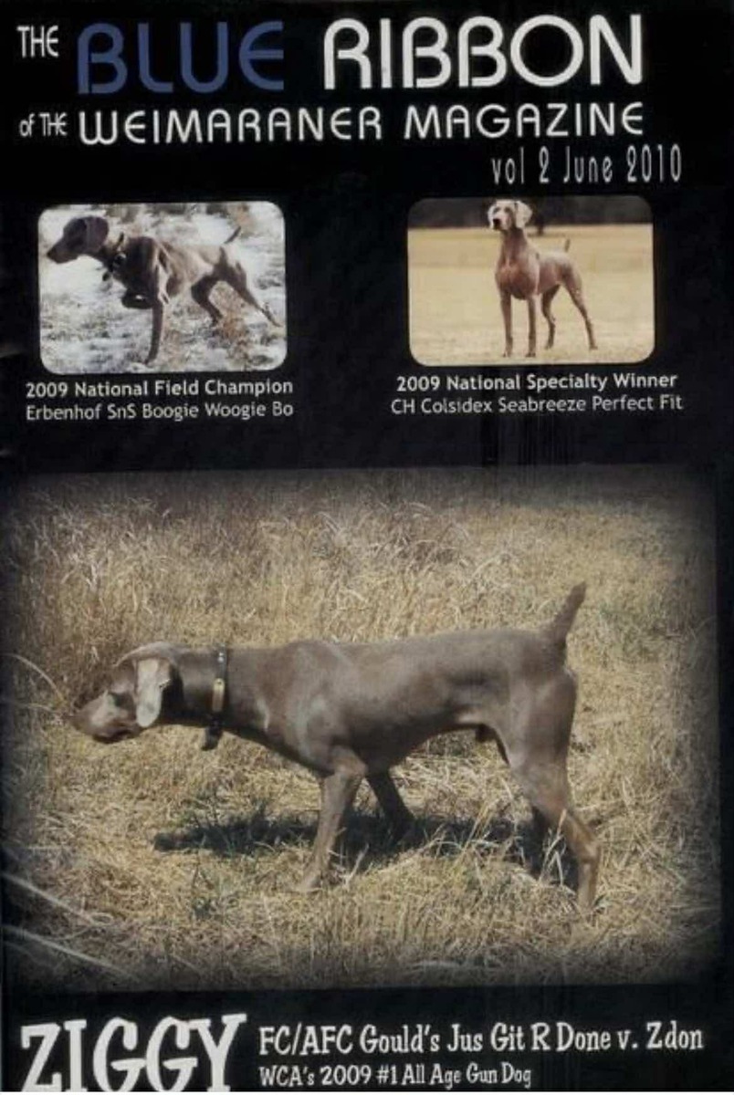 Image of Gould's Jus Git R Done v Zdon