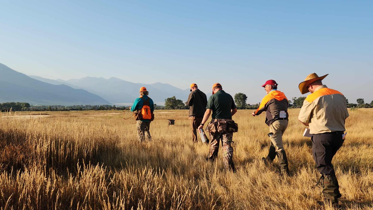 Image of PM's Tribute To The Boss