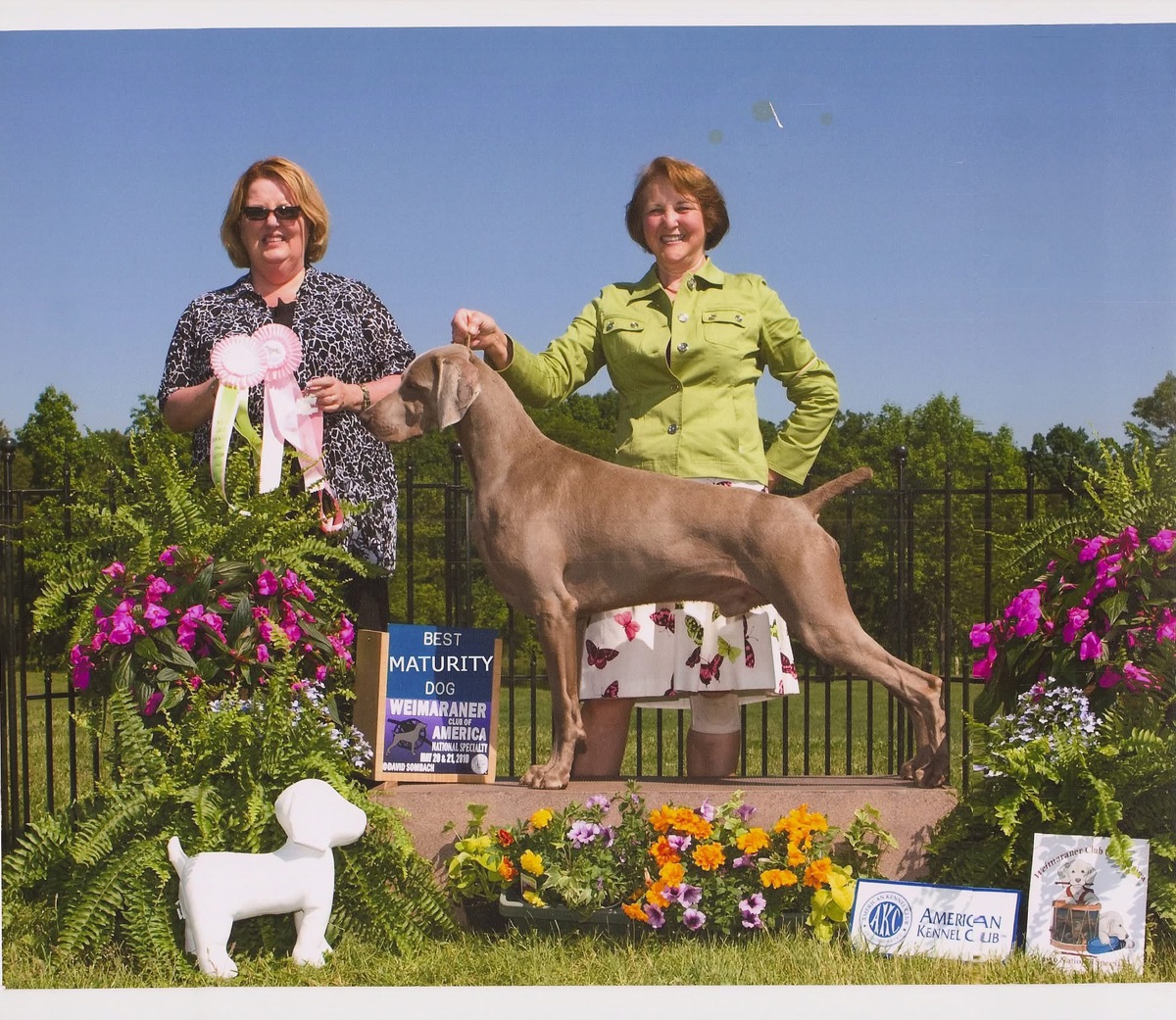 Image of Camelot's Knockin' On Heaven's Door