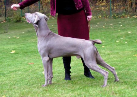 Image of Albiorix at Grauhafen