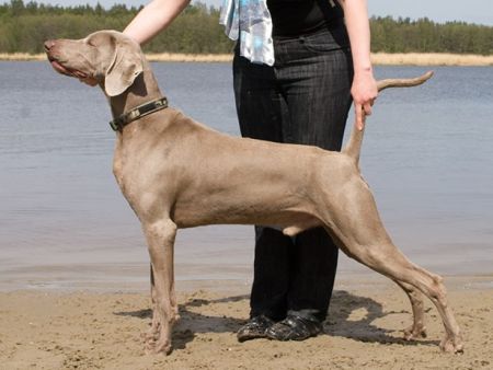 Image of Albiorix at Grauhafen