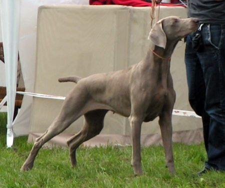 Image of Grausturm Love Is A Drug