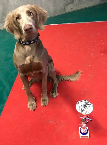 Image of Nasca du Tango des Neiges Eternelles