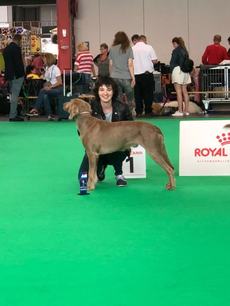 Image of Nasca du Tango des Neiges Eternelles