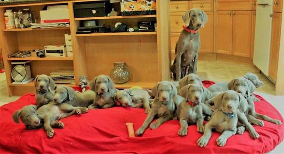 Image of Waypoints Tori's Lil Barracuda