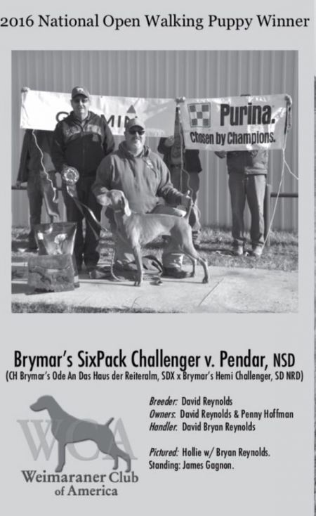 Image of Brymar's Sixpack Challenger V Pendar