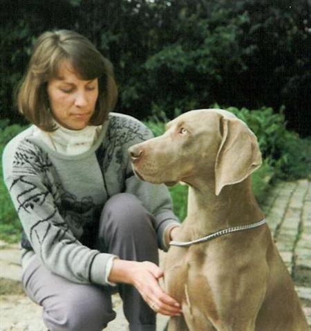 Image of Czersieger Cassino Charlie