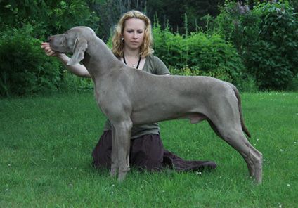 Image of Gamepoint Red Mist