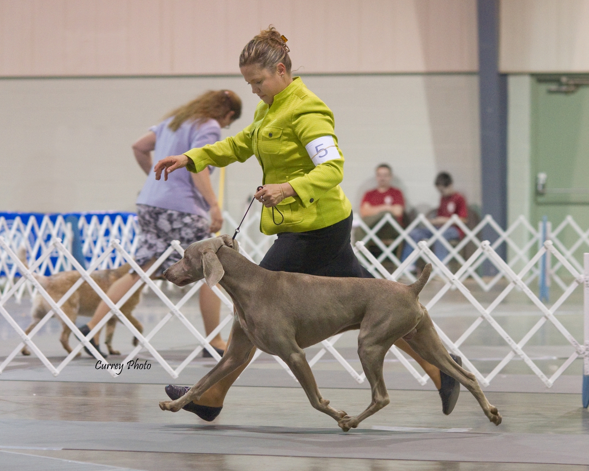 Image of Nani's Versa Cool Hand Luke