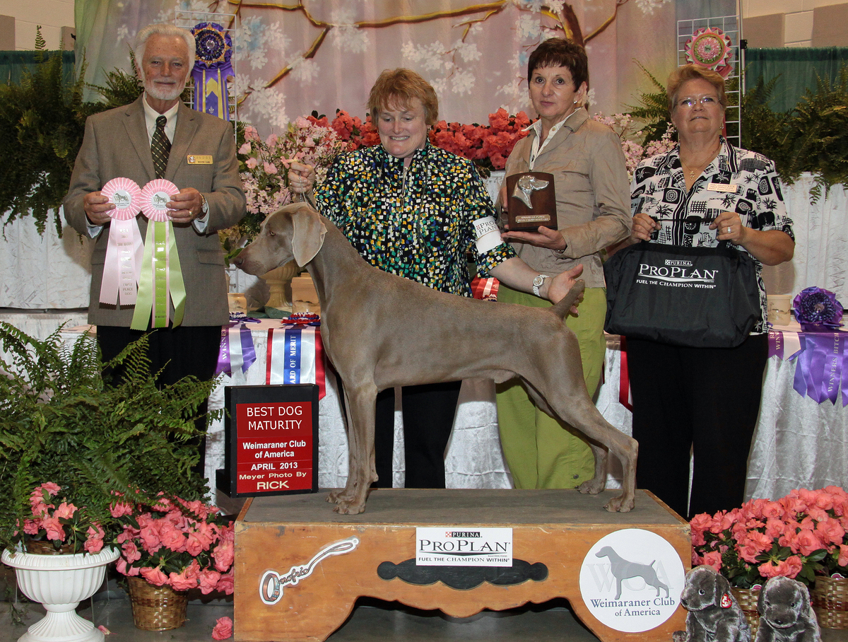 Image of Nani's Versa Cool Hand Luke