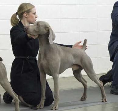 Image of Foxfire A Fistful of Dollars