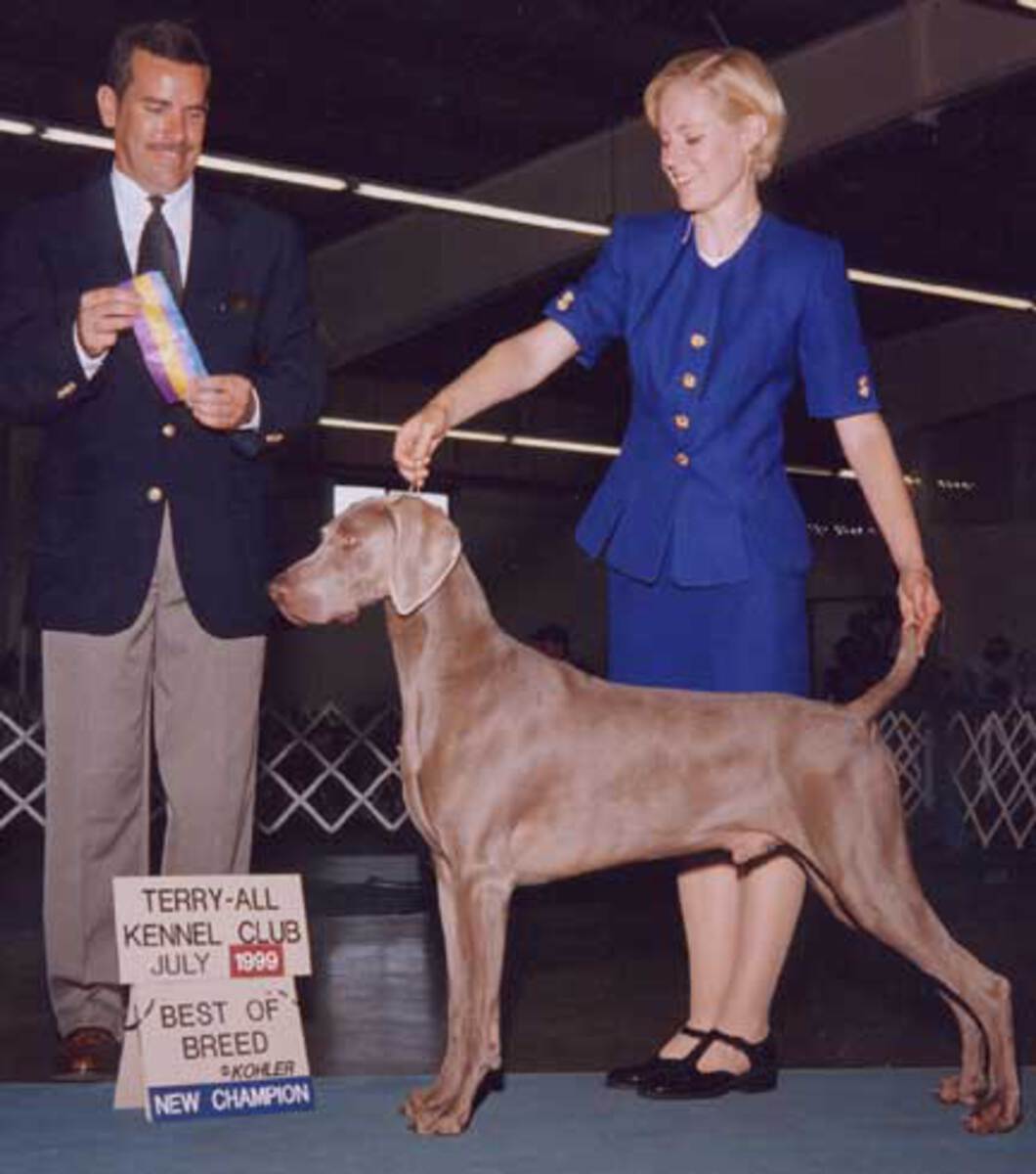 Image of Foxfire's Goldfinger