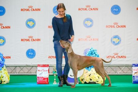 Image of Canis Fortuna Tequila