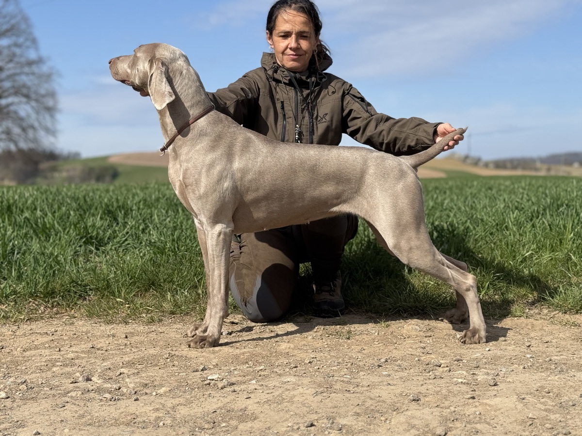 Image of Aschfahl Kepa Uki