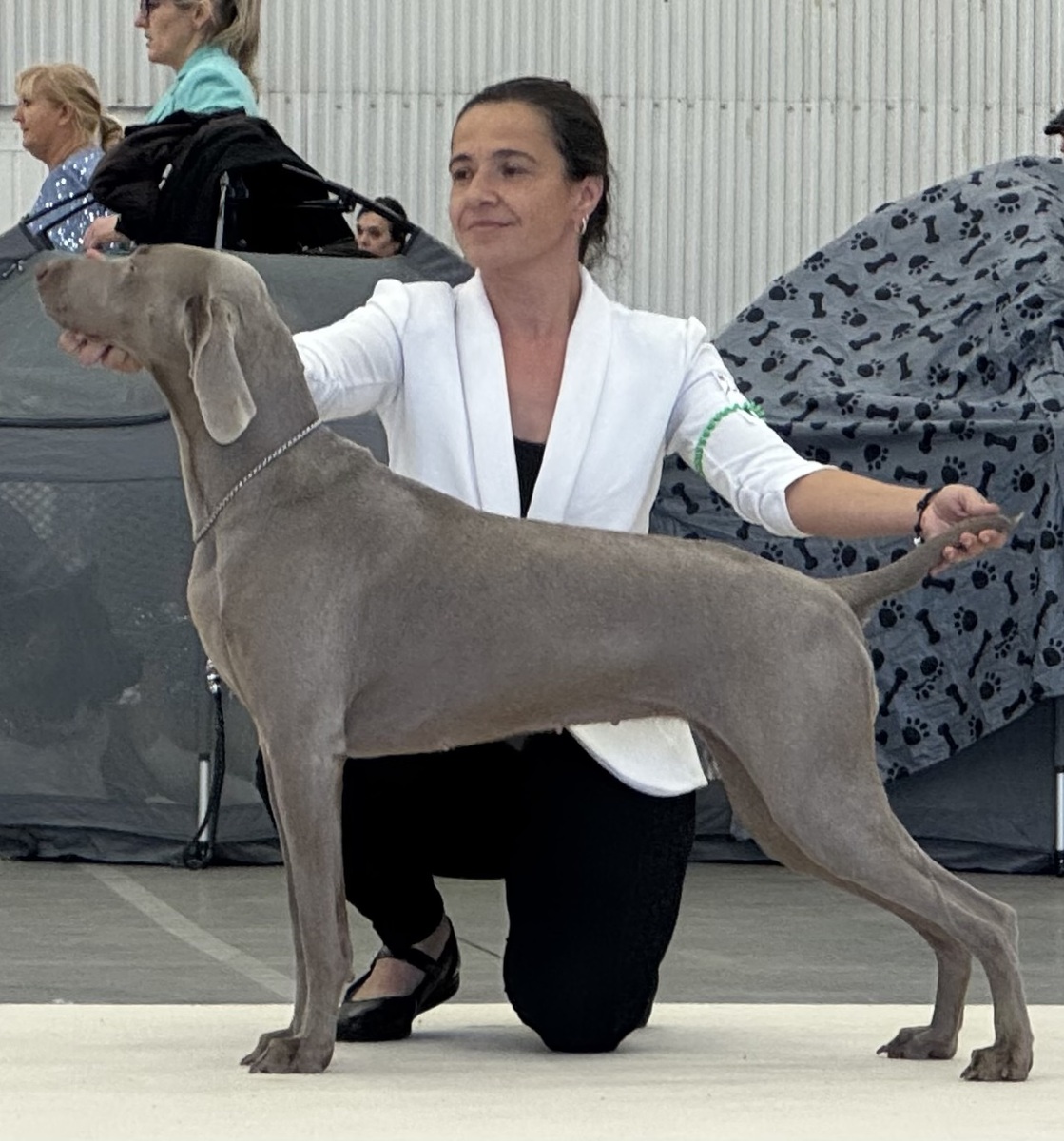 Image of Aschfahl Kepa Uki