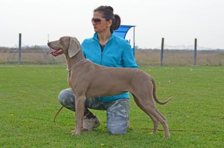 Image of Angel (aus Dantes Hölle)