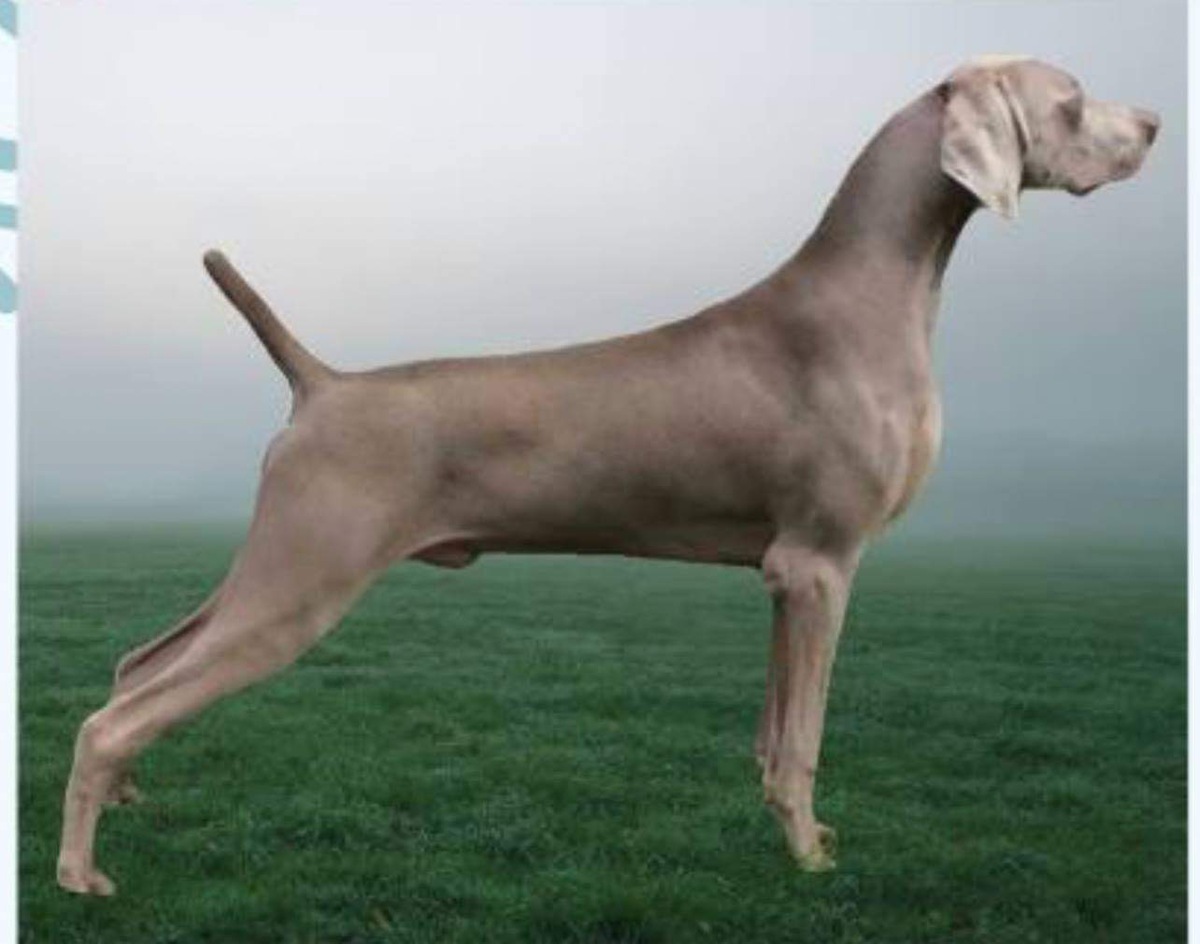 Image of Von Luchbachs Thrilled Beyond Words