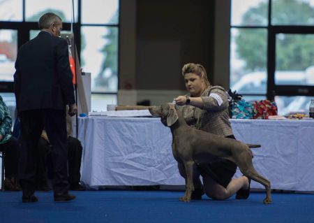 Image of Phantasm's Just TH' Wright Idea