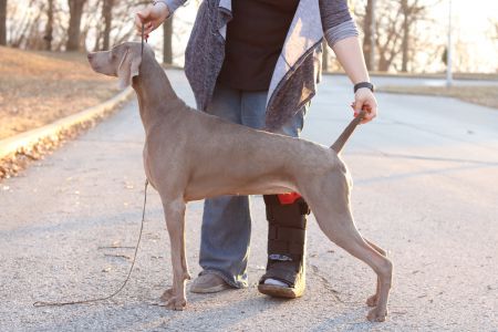 Image of Doc's Phantasm Just What The Doctor Ordered