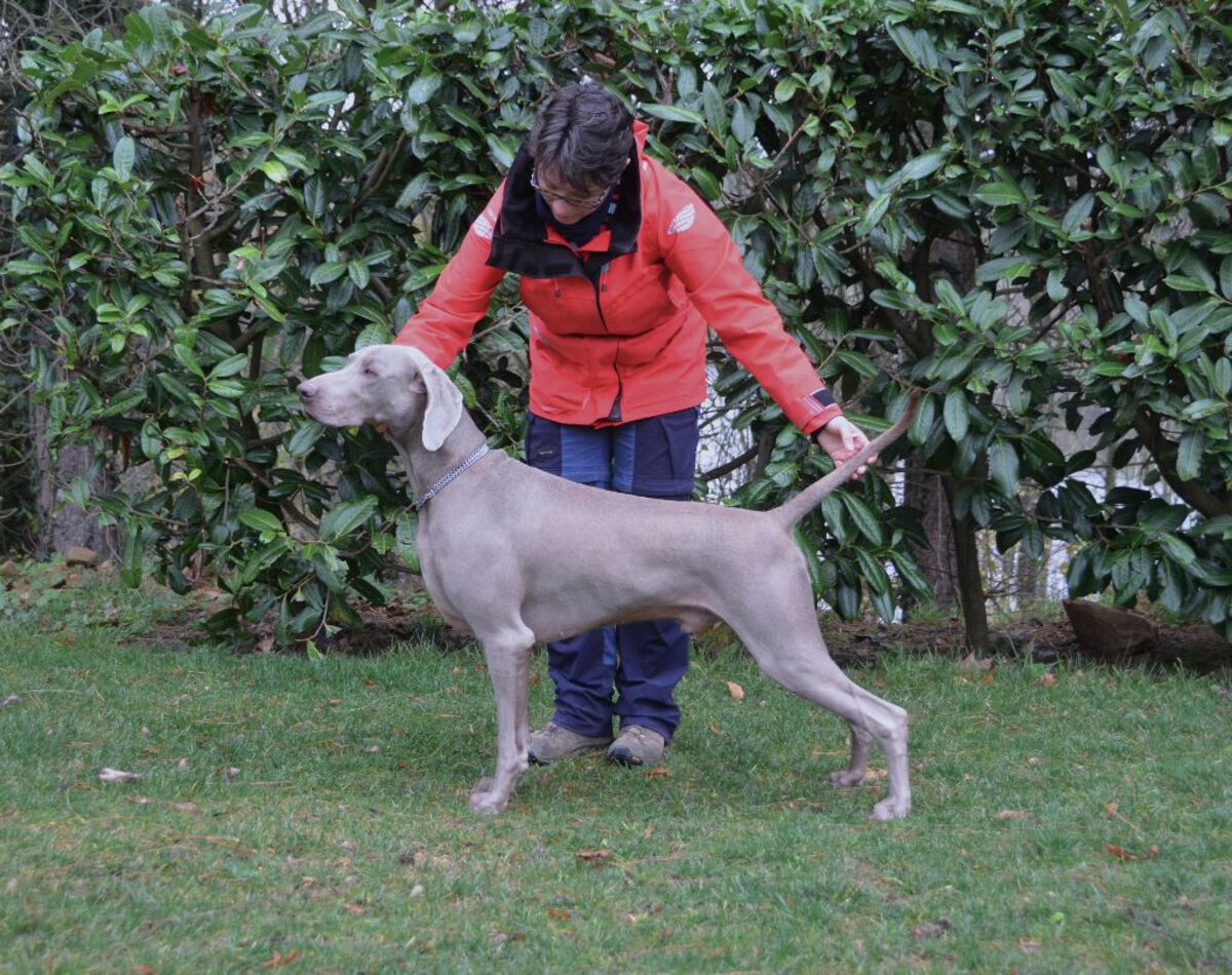 Image of Vaiu Wind God from Septemcolles