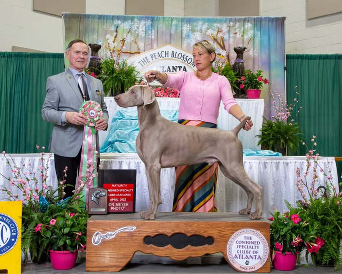 Image of Graymatter’s Smoke In My Eyes