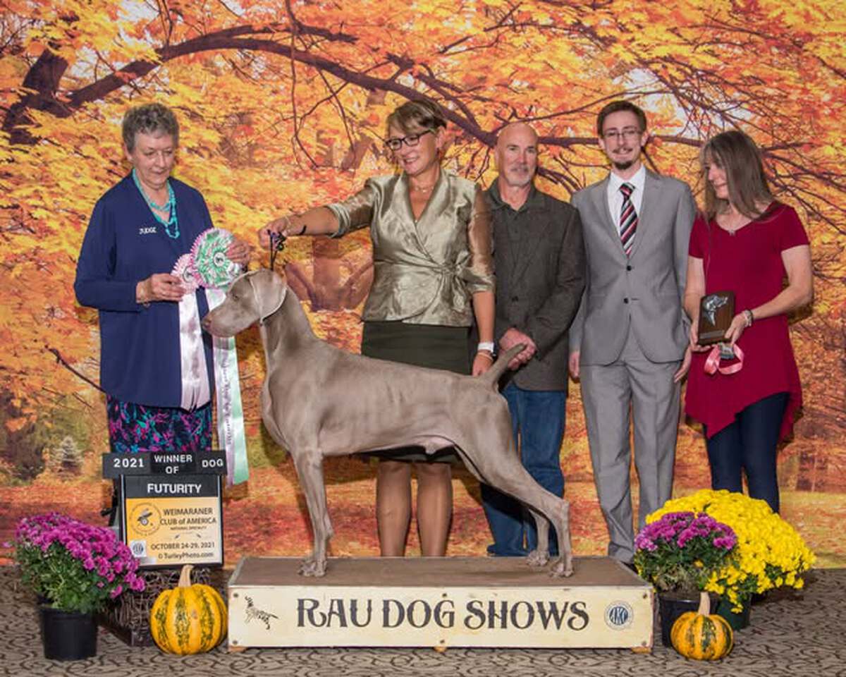 Image of Graymatter’s Smoke In My Eyes