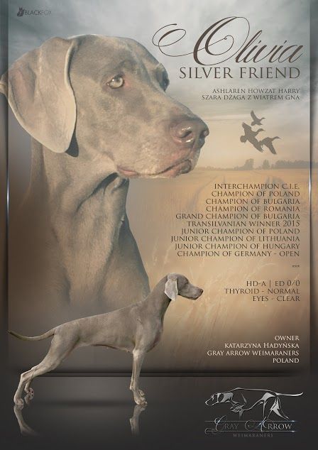 Image of Olivia Silver Friend