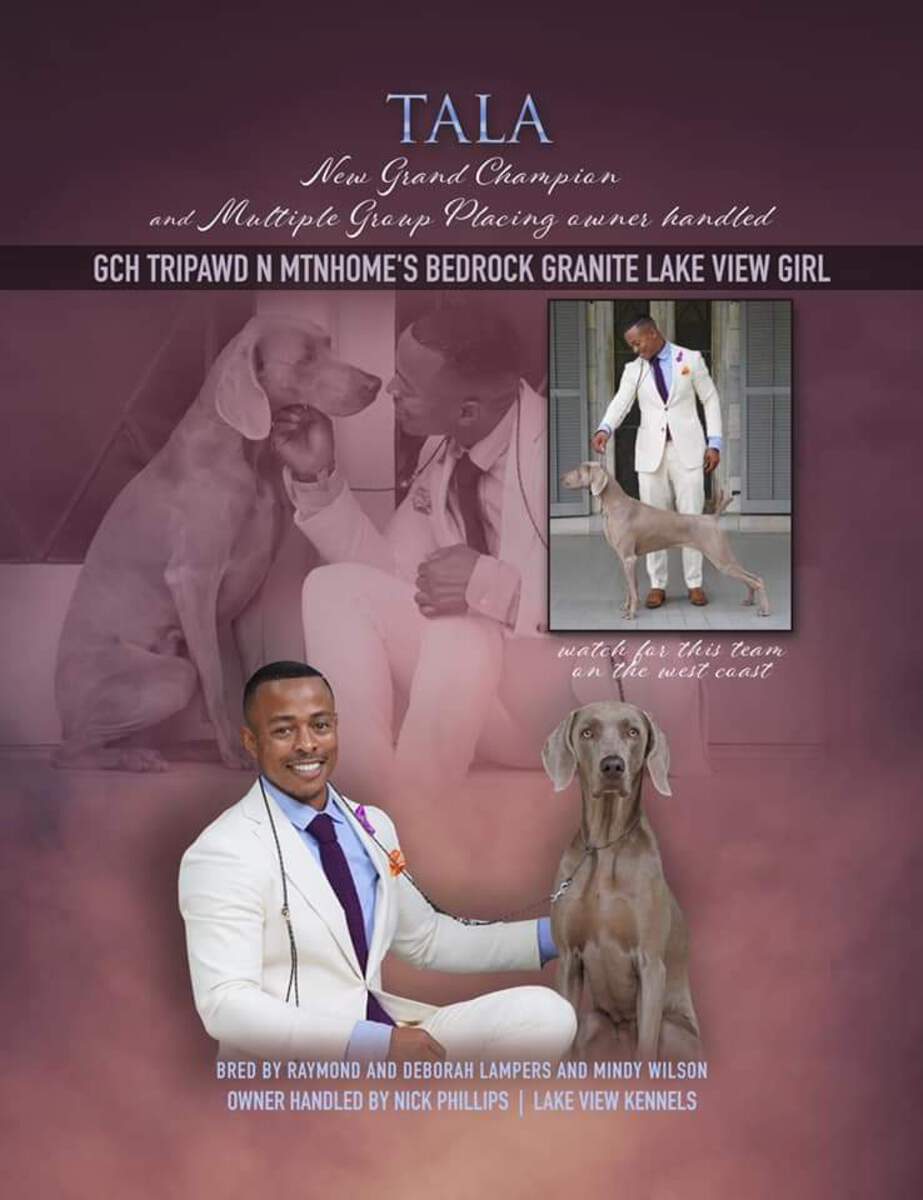 Image of Tripawd N Mtnhome's Bedrock Granite Lake View Girl