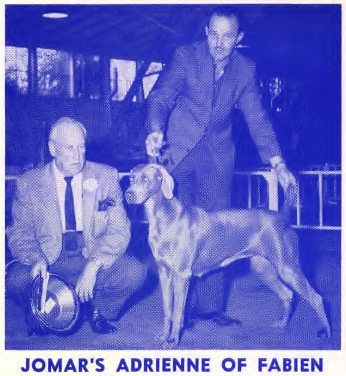 Image of Jomar's Adrienne of Fabien