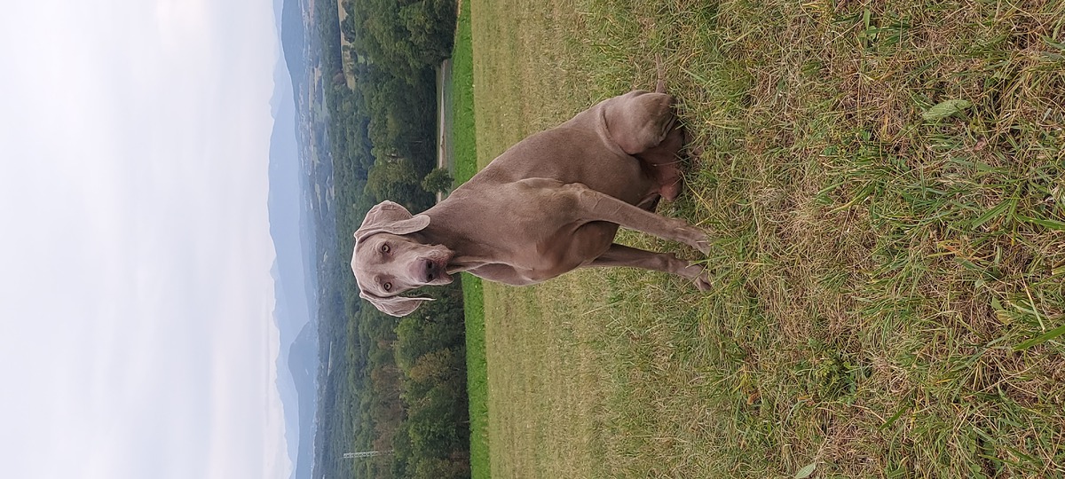 Image of Odisey ot Yanina Villa