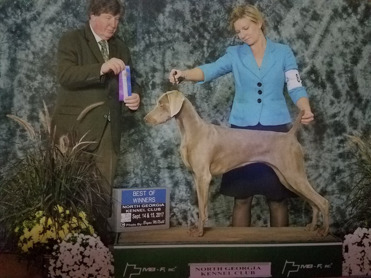 Image of Graymatter's Where There's Fire