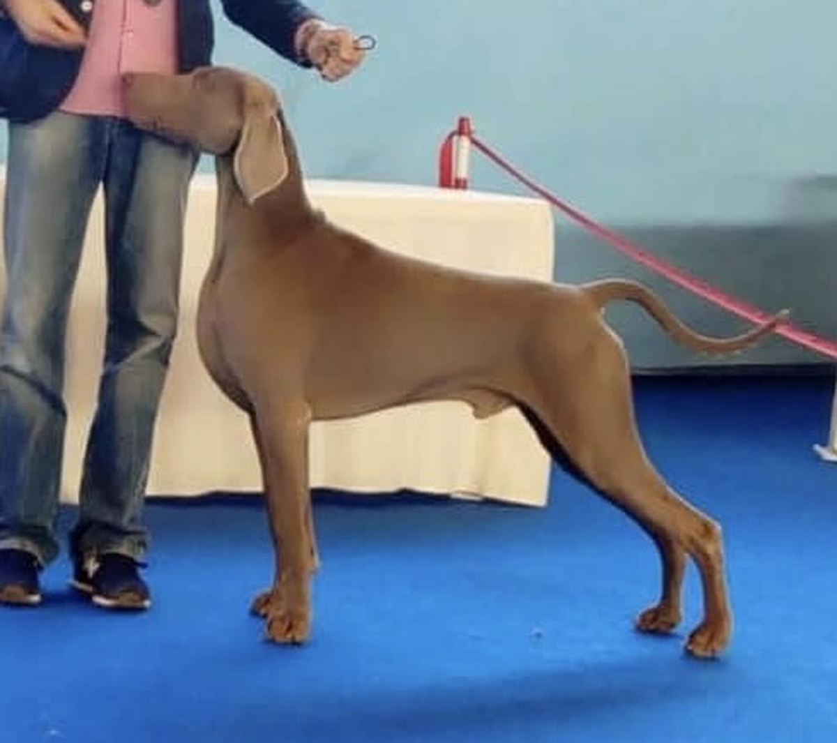 Image of Calm After Storm