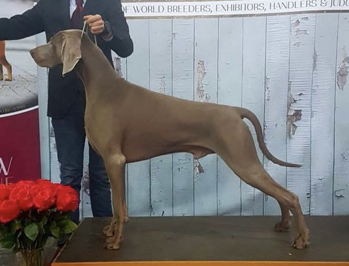 Image of Calm After Storm