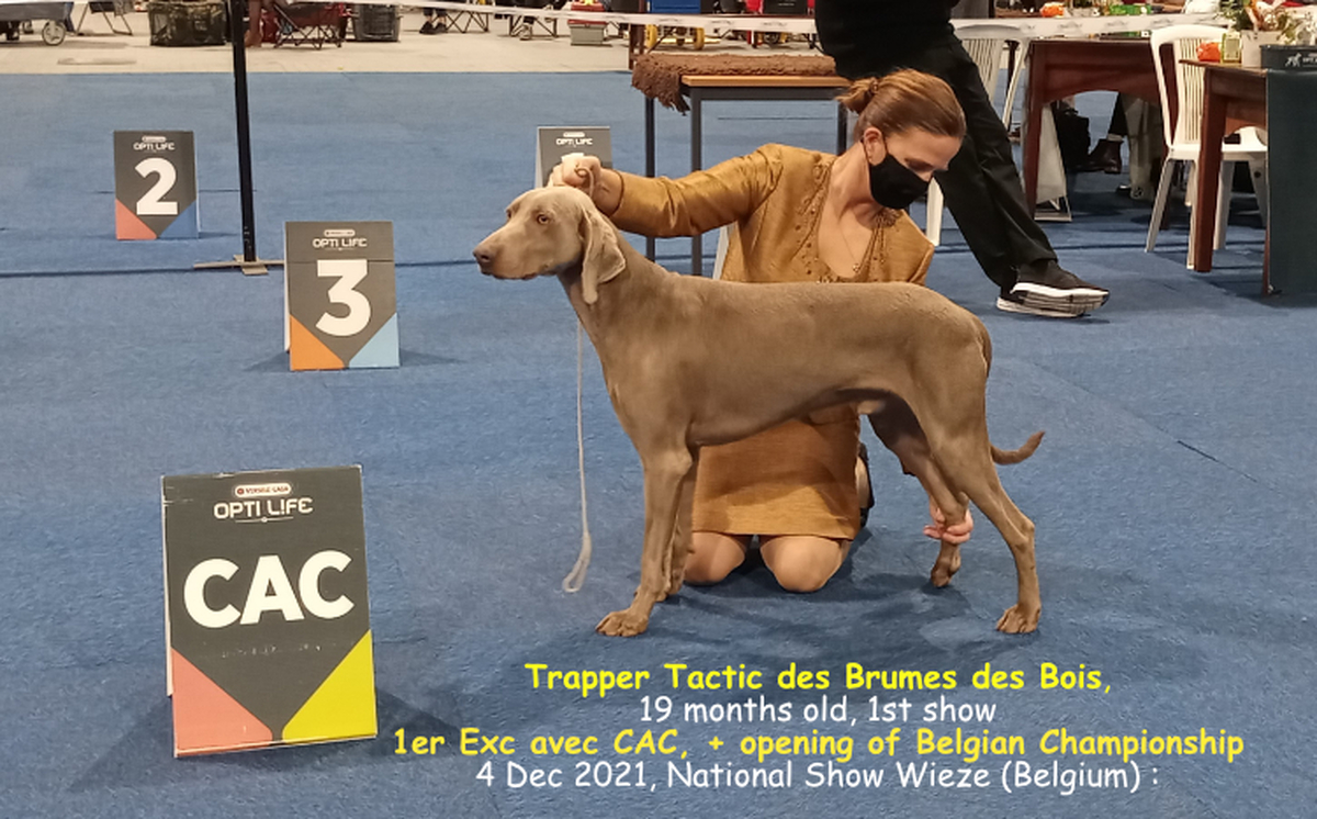 Image of Trapper Tactic des Brumes des Bois 