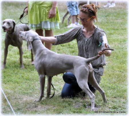 Image of Folie Douce Edelweims de la Ronastan