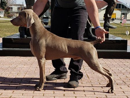 Image of Silberkinder 'N Silhouette Flight Of The Navigator