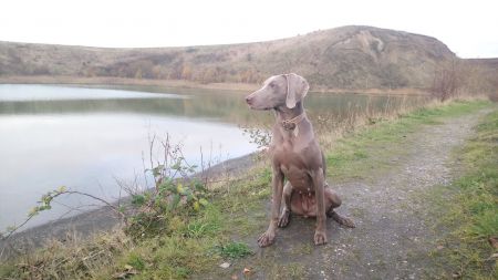 Image of Of Shamrocks Dream Quite like a Celtic Duchess